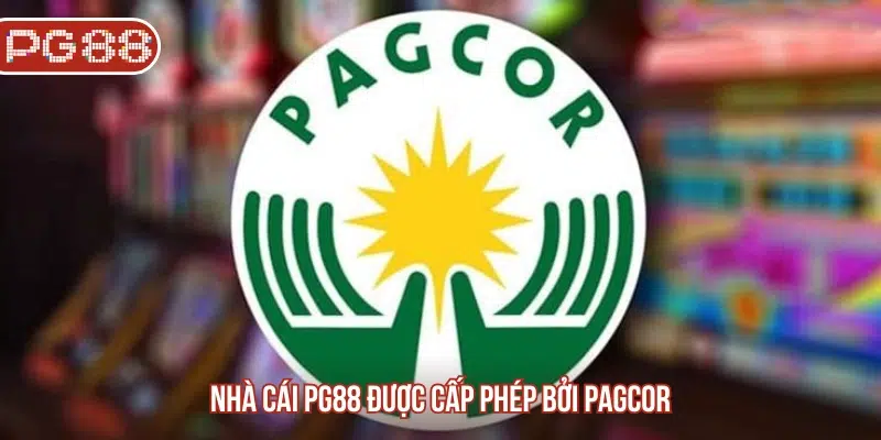 Tải App PG88 Trải Nghiệm Cá Cược Mọi Lúc Mọi Nơi - Đổi Mới Cuộc Chơi Đặt Cược Cùng Công Nghệ Tiên Tiến